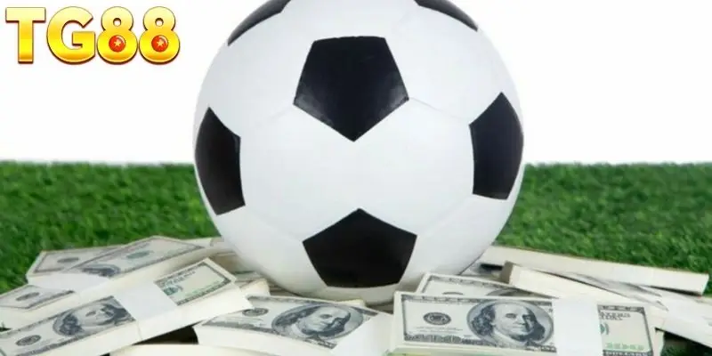 Những hình thức cược hay thấy